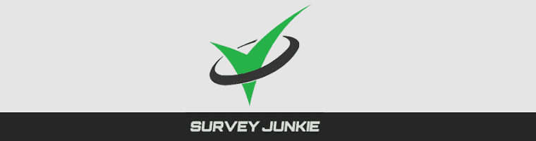 survey junkie banner